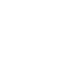 NETWORK & ECOSYSTEM